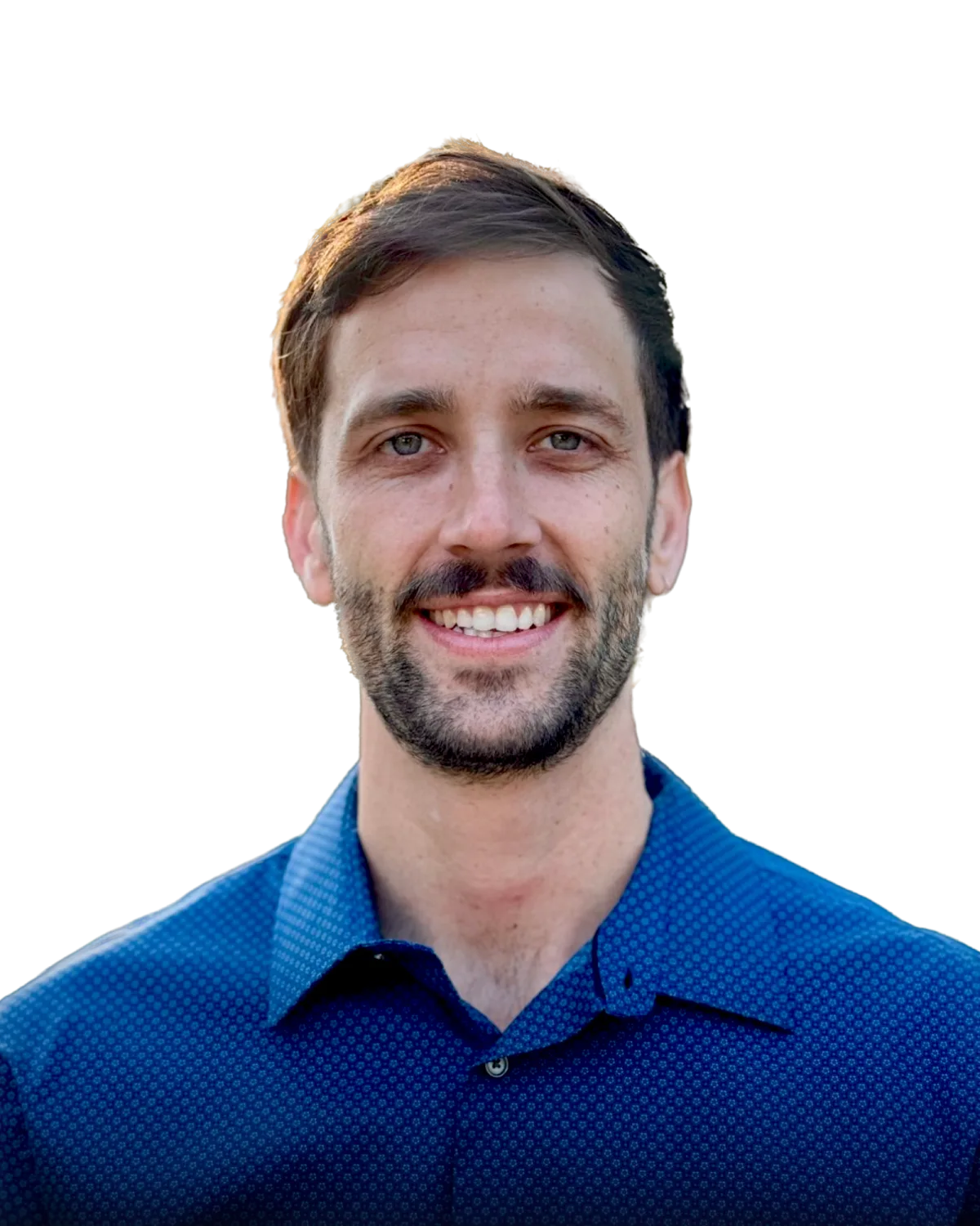 Aston, Director at Sebenza Online